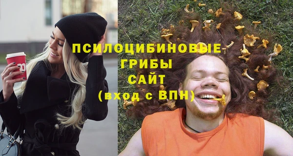 винт Инсар