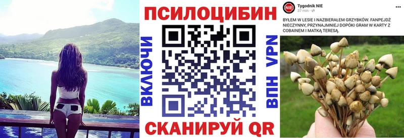 Галлюциногенные грибы Cubensis  что такое наркотик  Каменск-Шахтинский 