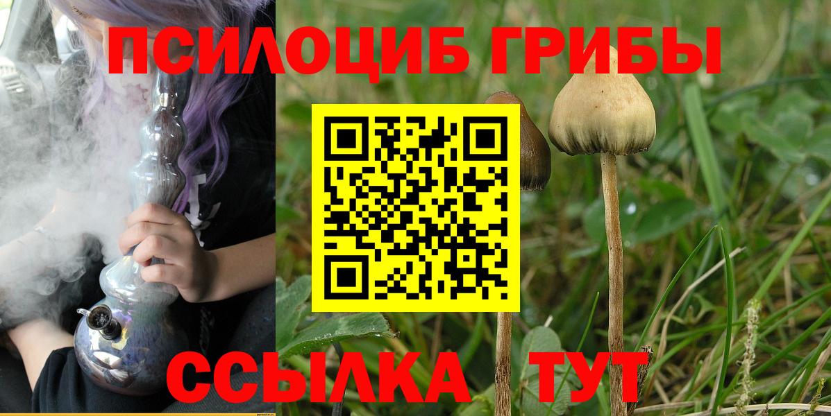 Каменск-Шахтинский  хочу наркоту  Вход с VPN  Галлюциногенные грибы MAGIC MUSHROOMS 
