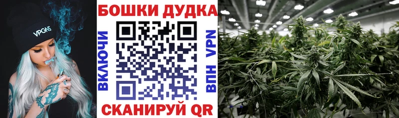 наркошоп  Каменск-Шахтинский  Бошки марихуана семена 